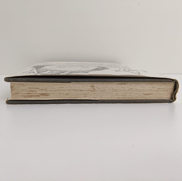 A Light In The Attic First Edition Shel Silverstein Hardcover 1981, 1st Printing - Picture 13 of 13